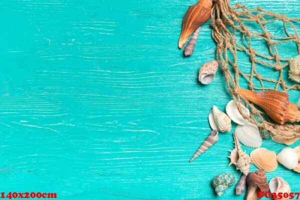 seashells on blue wooden background