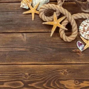 seashells border on wood. marine background
