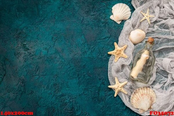 seashells on dark turquoise background