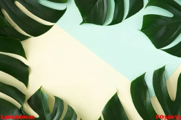 tropical palm background. creative layout made of green tropical leaves on blue and yellow background. minimal border, summer flat lay concept with copy space