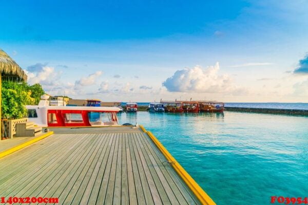 harbour in tropical maldives island .