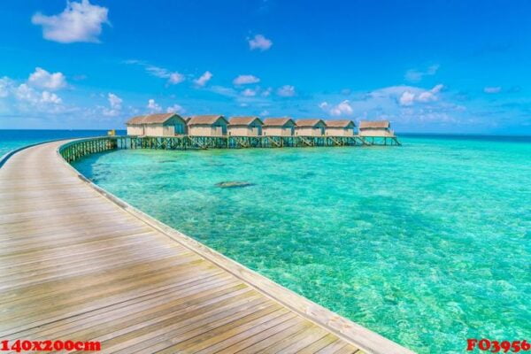 beautiful water villas in tropical maldives island .