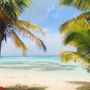 tall palms raise to the cloudy sky on beach in dominican republi