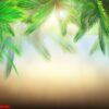 3d palm tree leaves against defocussed background