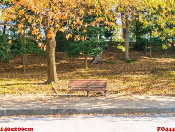 bench in autumn park