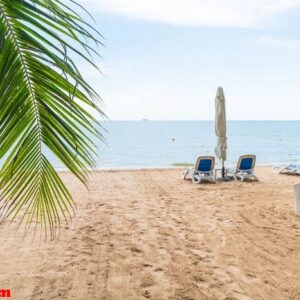 palm and tropical beach at pattaya in thailand