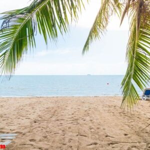 palm and tropical beach at pattaya in thailand