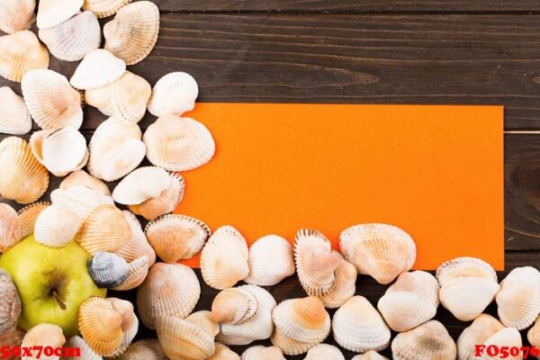 the shells ,apple and paper stand on the table