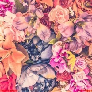 vintage flower background