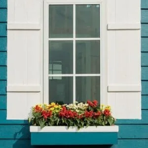 white window open and flower at house