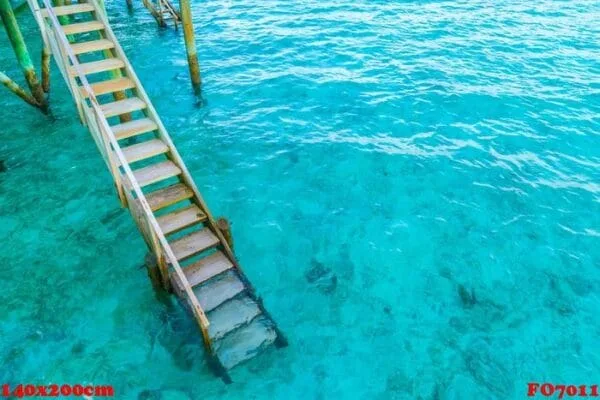 wood stair into the sea of tropical maldives island .