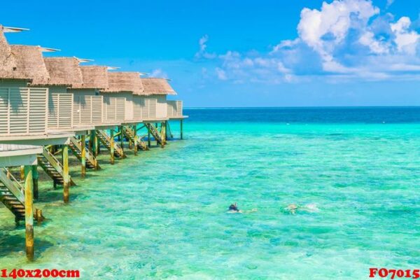 beautiful water villas in tropical maldives island .