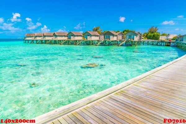 beautiful water villas in tropical maldives island .