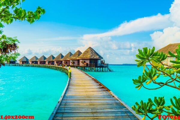 maldives island