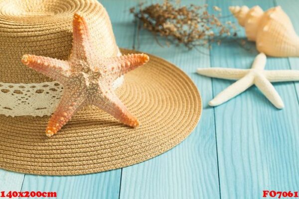 starfish on a hat on a blue background.