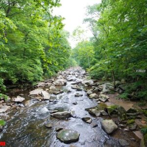 rock creek park