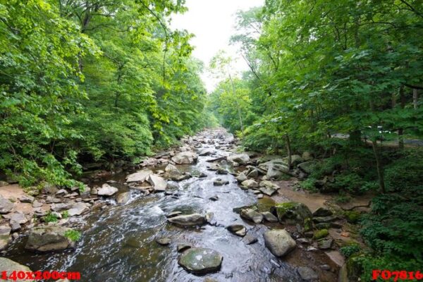 rock creek park