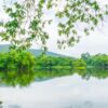 beautiful green park with lake , ang kaew at chiang mai universi