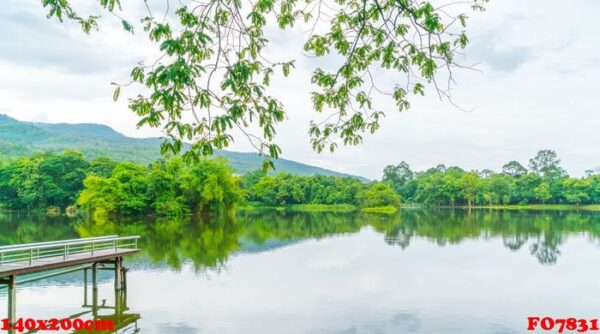 beautiful green park with lake , ang kaew at chiang mai universi