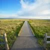 pathway and view point