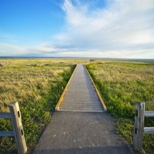 pathway and view point