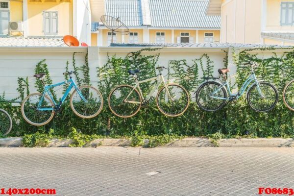 bicycle decoration on wall