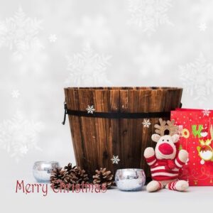 https://www.shutterstock.com/image photo/christmas babypet backdrop 356201228