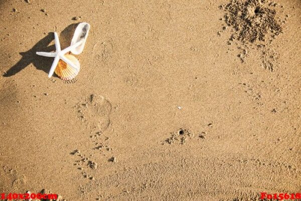 dried starfish on the beach background