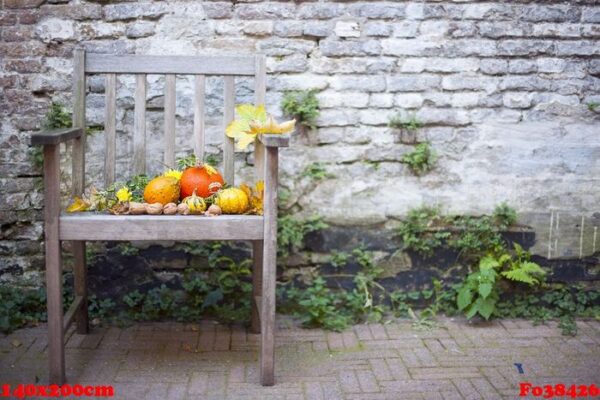 autumn nature. fall fruit on wood. thanksgiving. autumn vegetabl