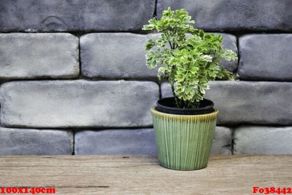 mini green leaves plant pot