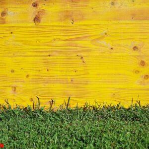 wood and grass background