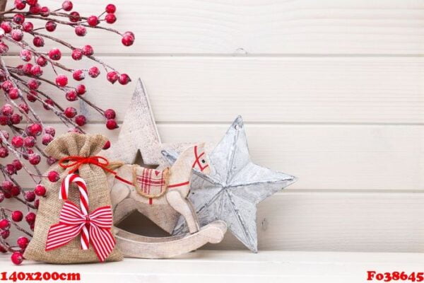 christmas decor on the wooden white background.