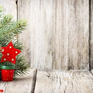 christmas decoration with fir branches on the wood background.