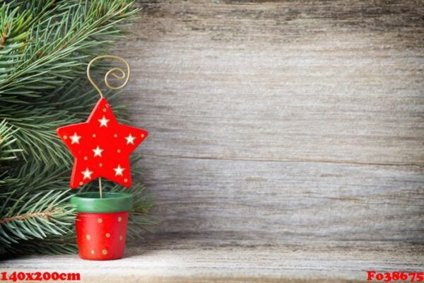 christmas decoration with fir branches on the wood background.