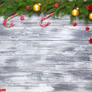 christmas fir tree on wooden background