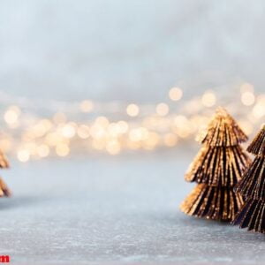 christmas tree on bokeh background.