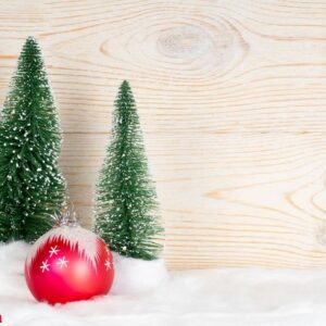 two evergreen fir trees and red ball, snowy christmas compositio