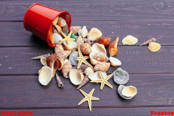 different sea shells on color wooden background