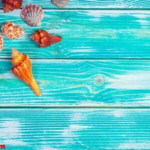 different sea shells on color wooden background