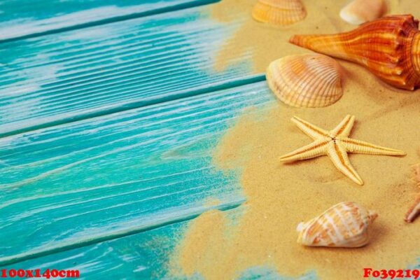 sea sand and sea shells on blue wooden floor