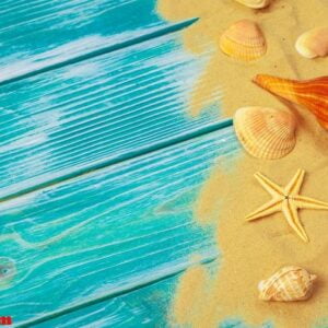 sea sand and sea shells on blue wooden floor