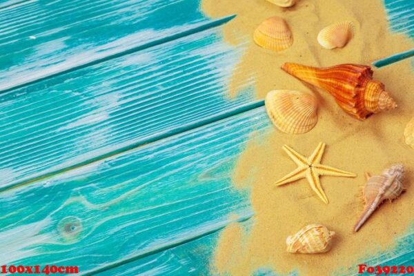 sea sand and sea shells on blue wooden floor