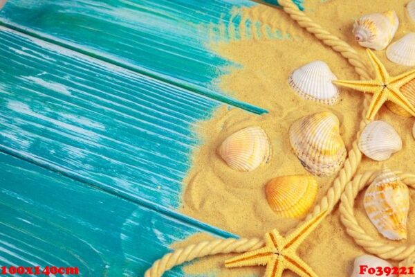 sea sand and sea shells on blue wooden floor