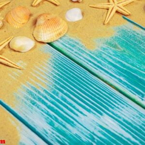 sea sand and sea shells on blue wooden floor