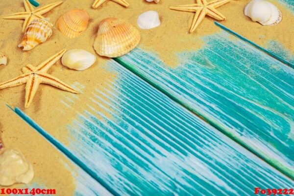 sea sand and sea shells on blue wooden floor