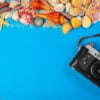 sea shells and starfish and camera