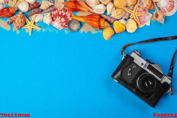 sea shells and starfish and camera