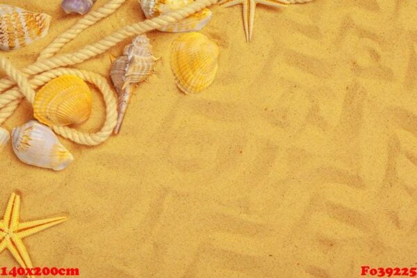 seashells on sand. sea summer vacation background