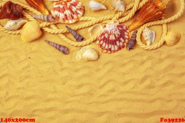 seashells on sand. sea summer vacation background