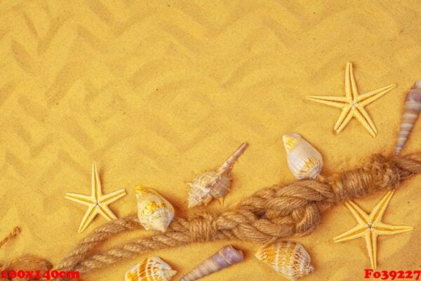 seashells on sand. sea summer vacation background